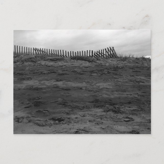 Postal Fuera de temporada (Anverso)