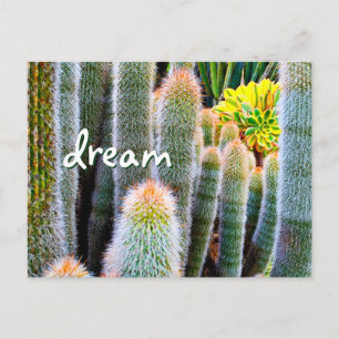 Postal Fuerte Cactus Green Photography Dream Script Bold