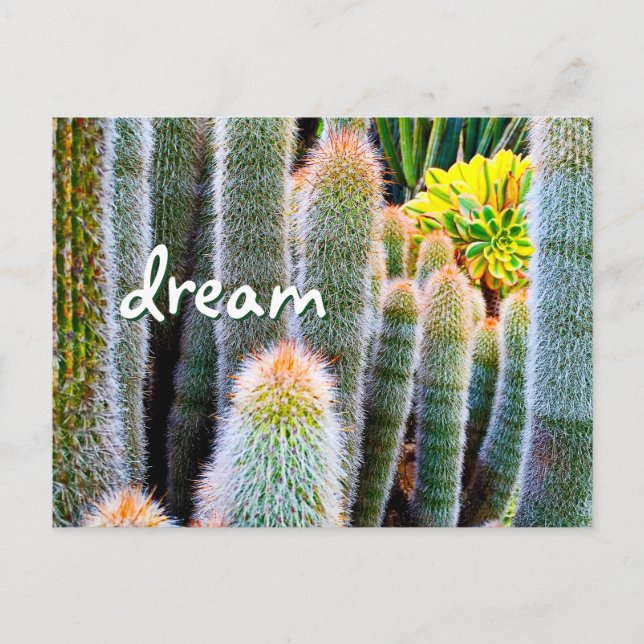 Postal Fuerte Cactus Green Photography Dream Script Bold (Anverso)