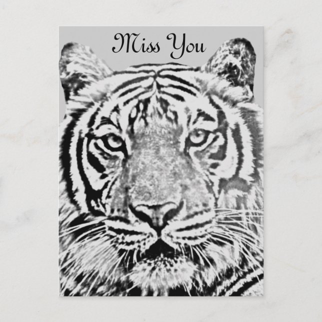 Postal Fuerza del tigre_ (Anverso)