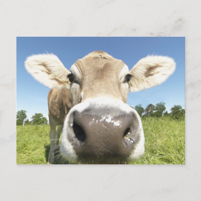 Postal Fuessen, Baviera (Alemania) (Anverso)