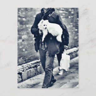 Postal fullsizeoutput_c78 Pomerania blanca y negra