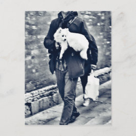 Postal fullsizeoutput_c78 Pomerania blanca y negra