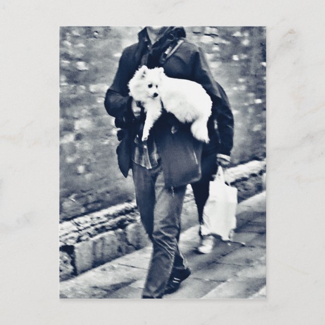 Postal fullsizeoutput_c78 Pomerania blanca y negra (Anverso)