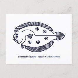 Postal Fun Flounder Fish en azul y blanco más profundo