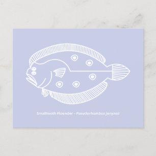 Postal Fun Flounder Fish en blanco sobre morado claro