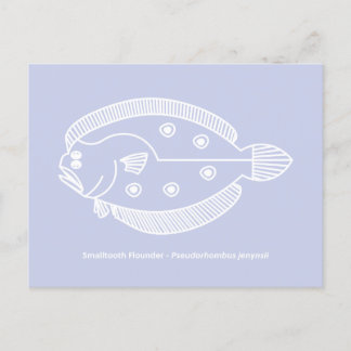 Postal Fun Flounder Fish en blanco sobre morado claro