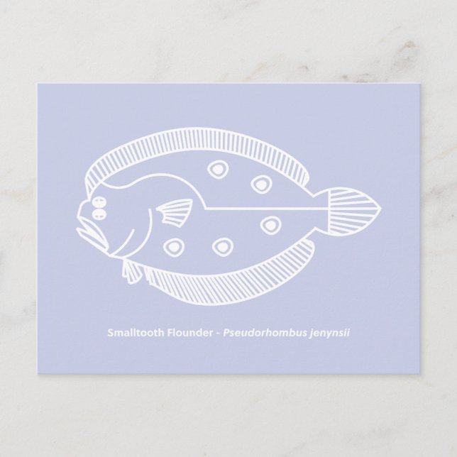 Postal Fun Flounder Fish en blanco sobre morado claro (Anverso)