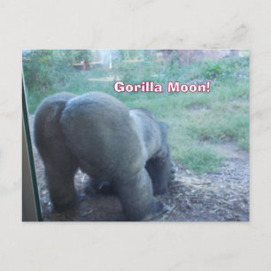 Postal Fun Gorilla Moon Postcard