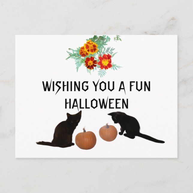 Postal Fun Halloween Naranja calabazas marigoles gatos ne (Anverso)
