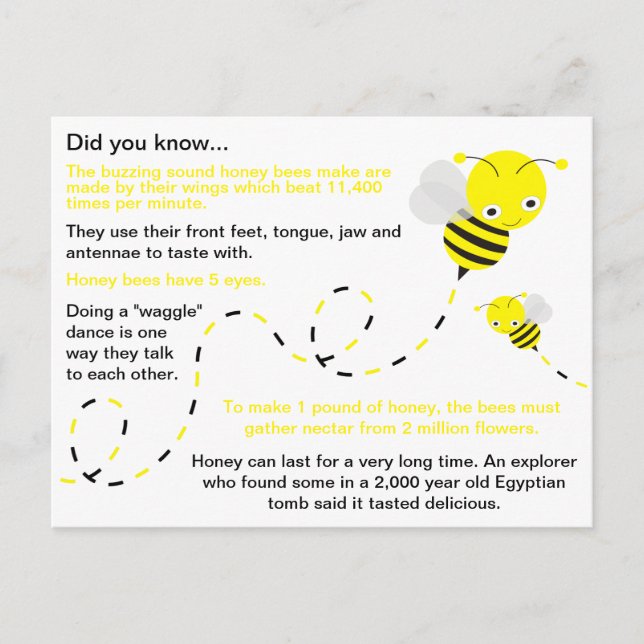 Postal Fun Honey Bee Facts (Anverso)