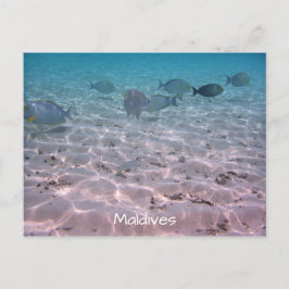Postal Fun Maldives Coral Fish White Sand Lagoon