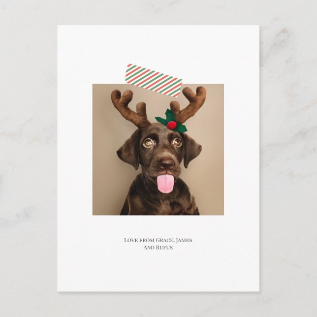 Postal Fun Striped Tape Navidades Foto (postal) (Anverso)