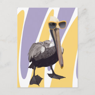Postal Fun Summer Vibes Pelican Bird