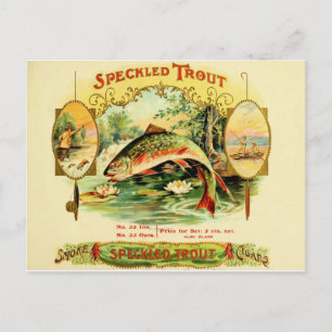 Postal Funda de la trucha especular