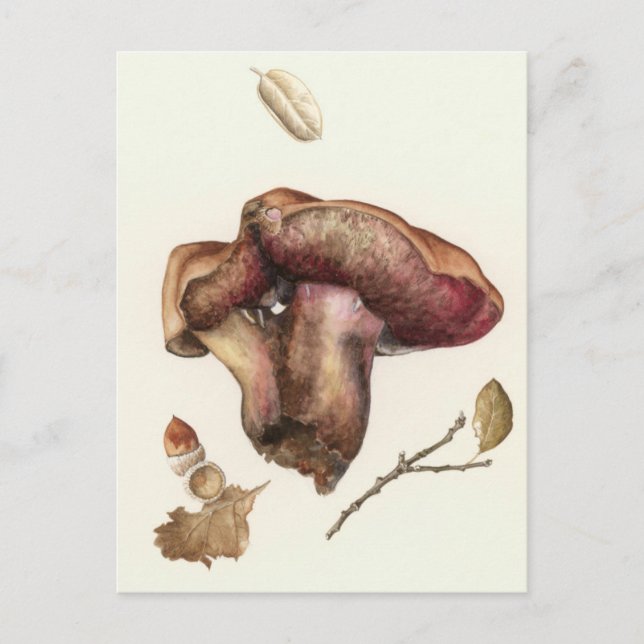 Postal Fungus (Anverso)