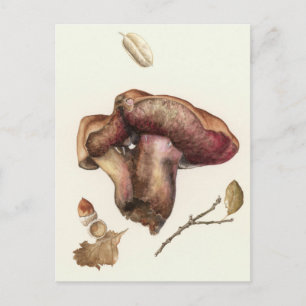 Postal Fungus