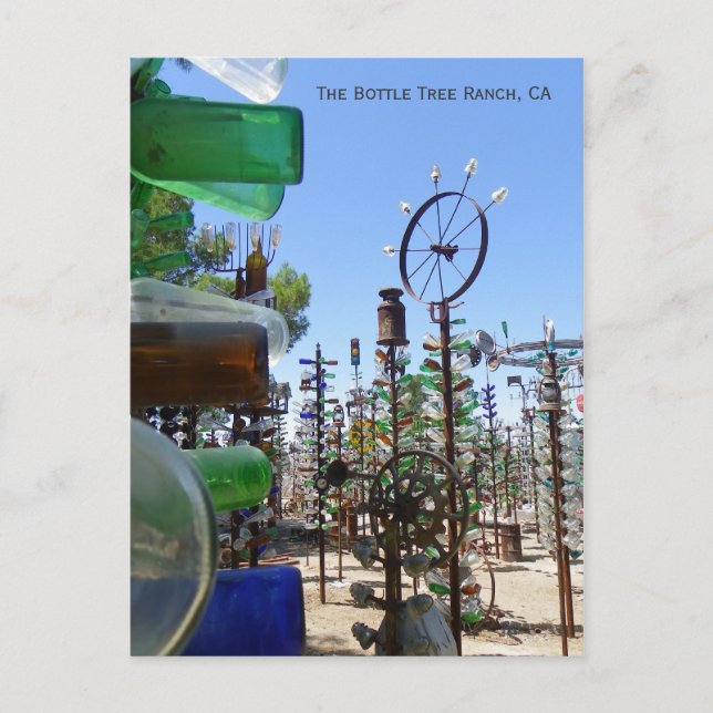 Postal ¡Funky Bottle Tree Ranch Postcard! (Anverso)