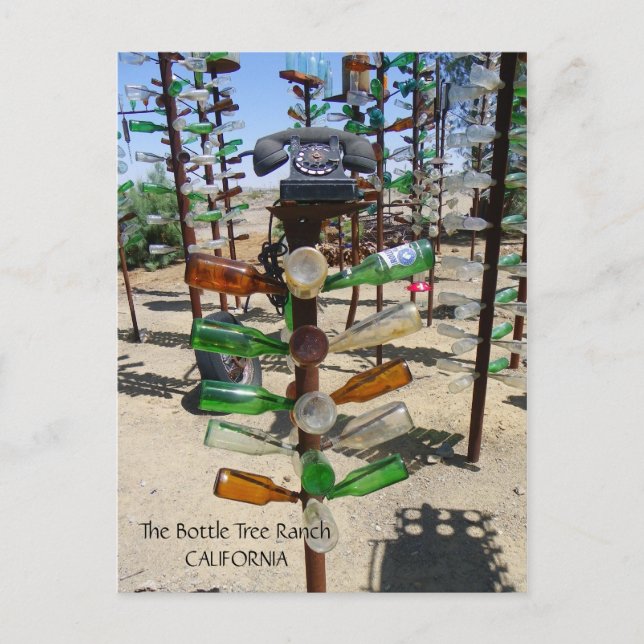 Postal ¡Funky Bottle Tree Ranch Postcard! (Anverso)