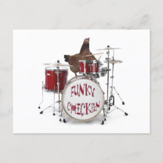Postal Funky pollo Postcard
