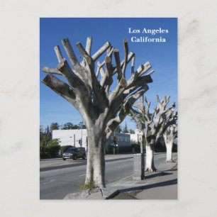 Postal ¡Funky Tree Los Angeles Postcard!