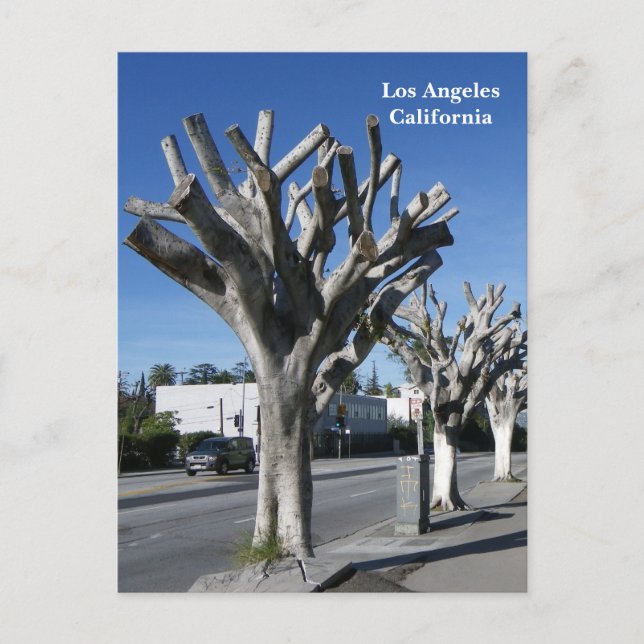 Postal ¡Funky Tree Los Angeles Postcard! (Anverso)