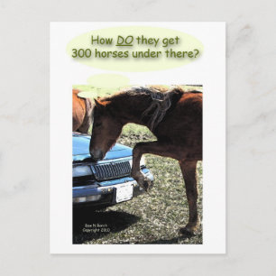 Postal Funny 300 Horse Car