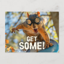 Funny Action Squirrel Postcard "Get some"