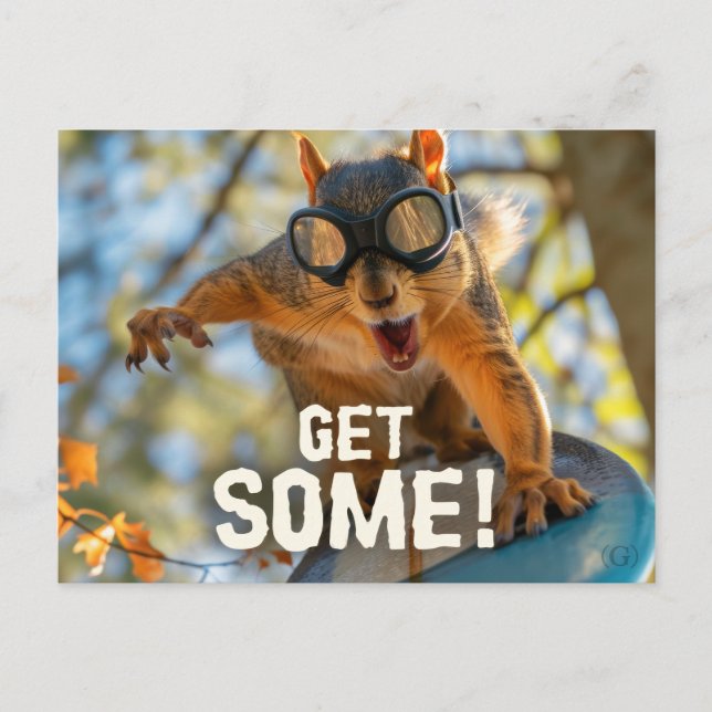 Postal Funny Action Squirrel Postcard "Get some" (Anverso)