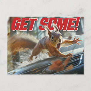 Postal Funny Action Squirrel Postcard "Get some"