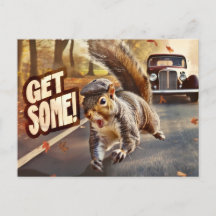 Funny Action Squirrel Postcard "Get some"