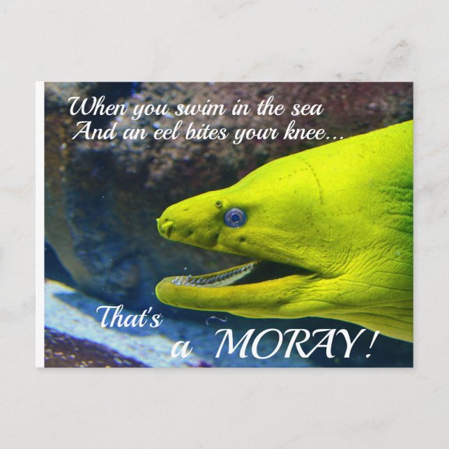 Postal Funny Amore (un moray) Valentine (Anverso)