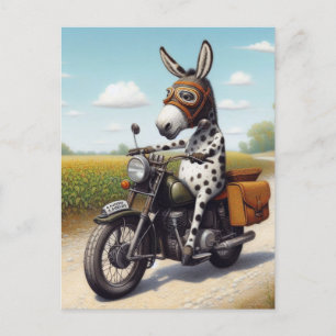 Postal Funny Appaloosa Mule en motocicleta