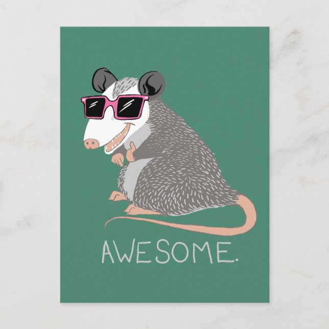 Postal Funny Awesome Possum (Anverso)