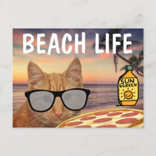 POSTAL FUNNY CAT BEACH PIZZA POSTCARD