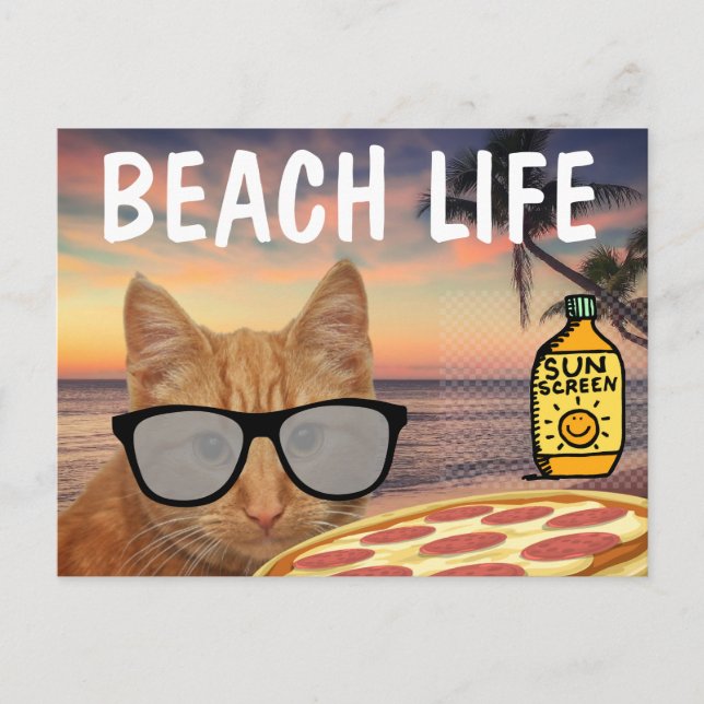 POSTAL FUNNY CAT BEACH PIZZA POSTCARD (Anverso)