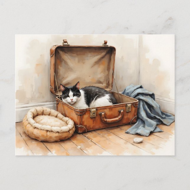 Postal Funny Change of Address from Black and White Cat (Anverso)