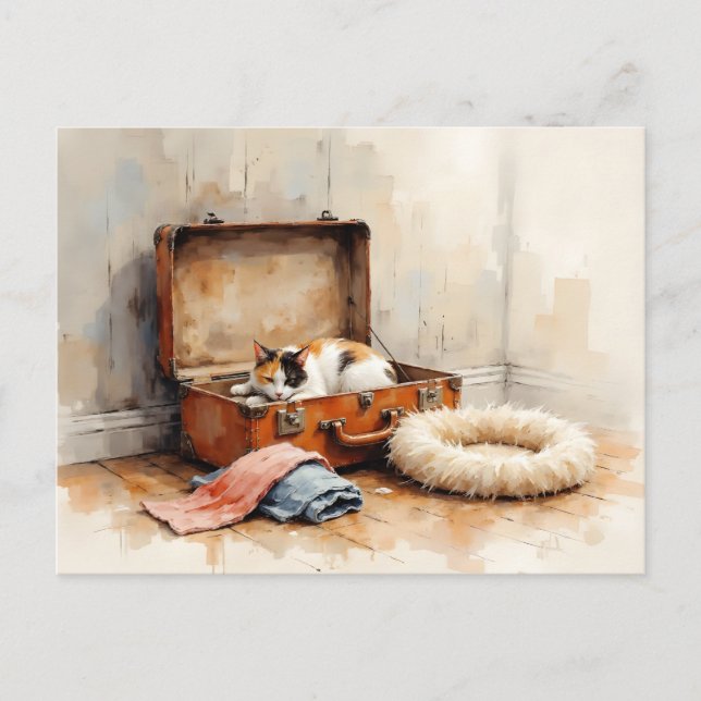 Postal Funny Change of Address from Calico Cat (Anverso)