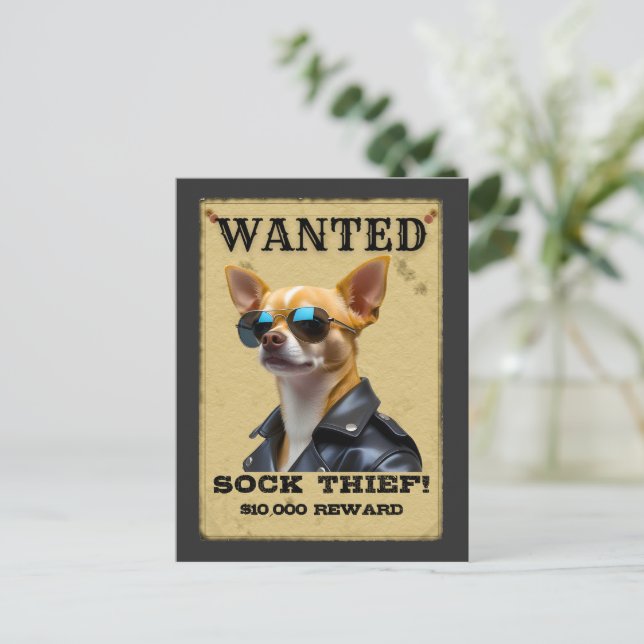 Postal Funny Chihuahua WANTED Poster with Cool Sunglasses (Anverso de pie)