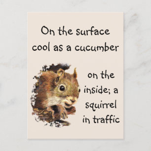 Postal Funny Cita Surface Guay Inside Squirrel