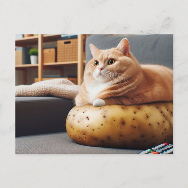 Postal Funny Couch Potato Cat (Anverso)