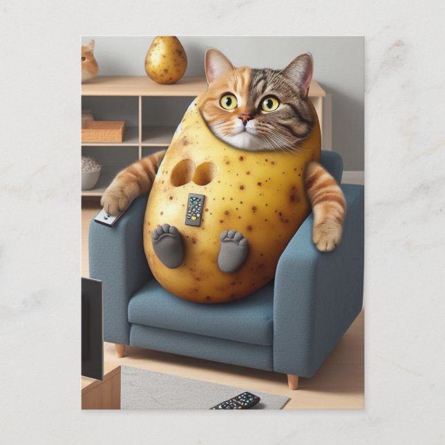 Postal Funny Couch Potato Cat con Remotes (Anverso)