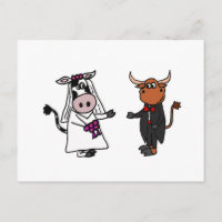 Funny Cow and Bull Boda