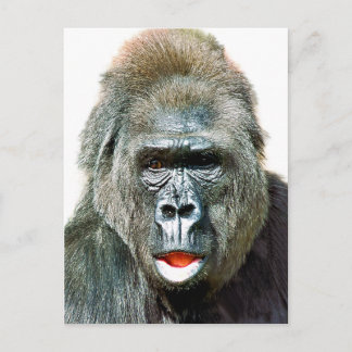POSTAL FUNNY CUTE GORILLA