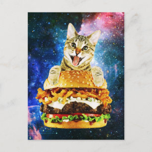 Postal Funny espacio para gatos de hamburguesas