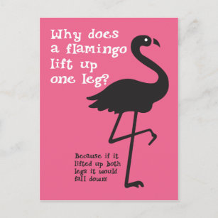 Postal Funny Flamingo Riddle