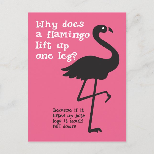 Postal Funny Flamingo Riddle (Anverso)