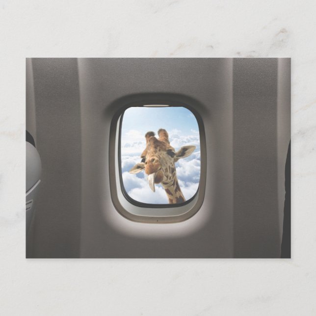 Postal Funny Giraffe (Anverso)