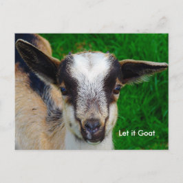 Postal Funny Goat Parody Postcard
