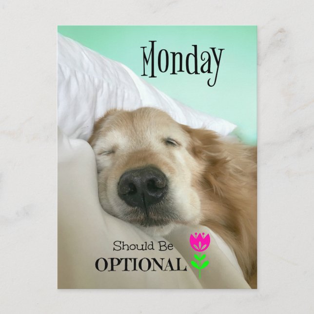Postal Funny Golden Retriever Monday debería ser opcional (Anverso)